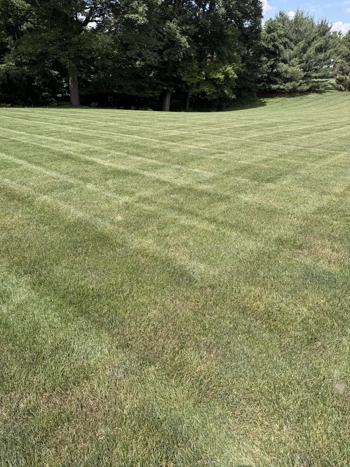Crew member mowing a large residential lawn near a brick home
