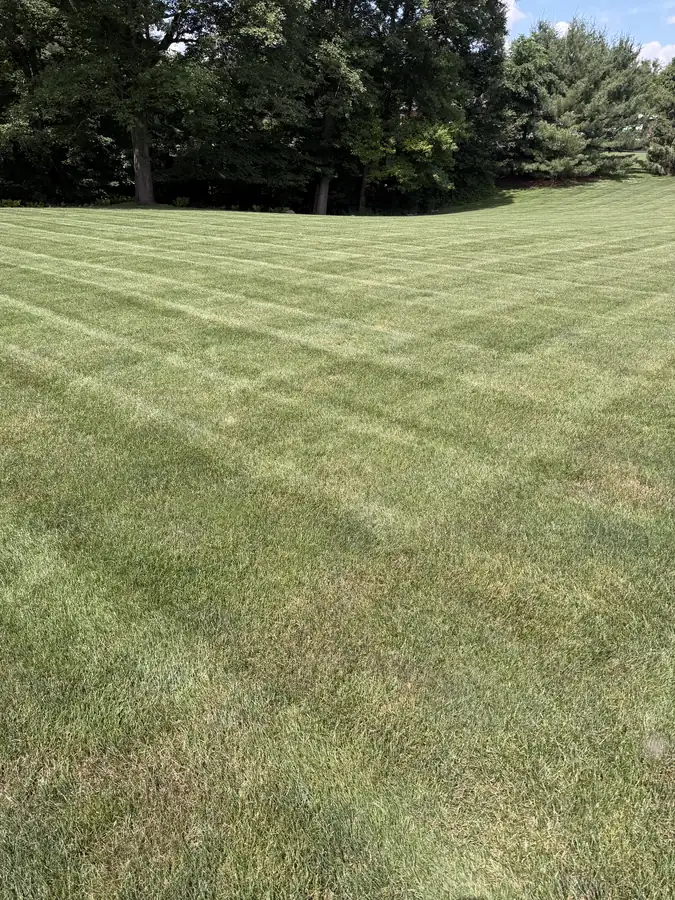 Crew member mowing a large residential lawn near a brick home