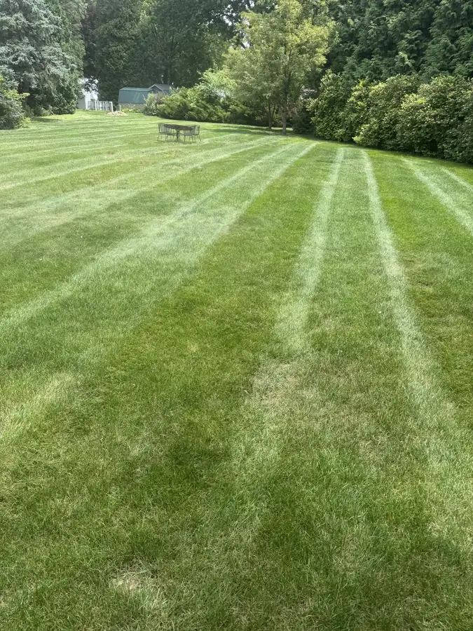 Large family lawn mowed around a wooden playset