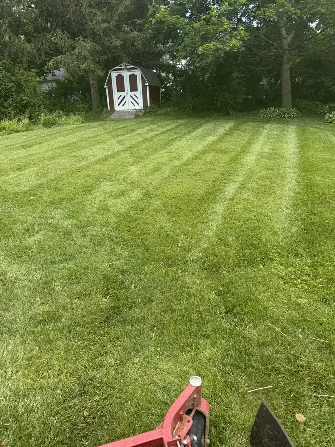 Striped lawn leading up to a backyard storage shed