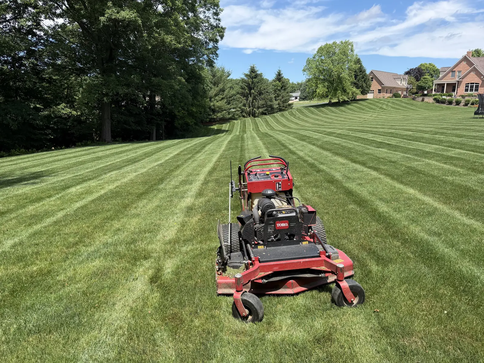 Freshly striped lawn mowed by North End Lawn Care in Wooster, Ohio